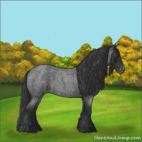 Horse Color:Blue Roan Varnish