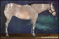 Horse Color:Bay Ice 