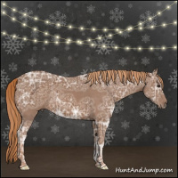 Horse Color:Chestnut Ice 