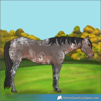 Horse Color:Brown Ice 