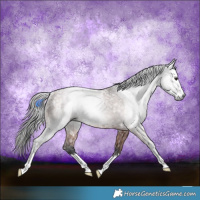 Horse Color:Gray Bay Ice Rabicano 