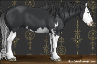 Horse Color:Black Sabino Splash