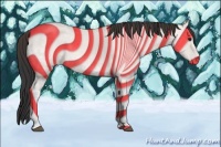 Horse Color:Bay Ice Roan 