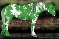 Horse Color:Watercolor White Spotted Black 