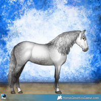Horse Color:Gray Black Ice Sabino 