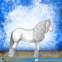Horse Color:Black Sabino Splash Rabicano 