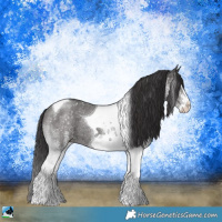 Horse Color:White Spotted Smoky Black Tobiano Rabicano 