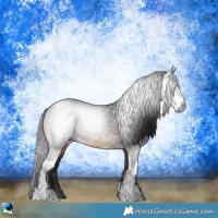 Horse Color:Gray Brown Sabino 