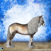 Horse Color:Liver Red Onyx Mushroom Rabicano 