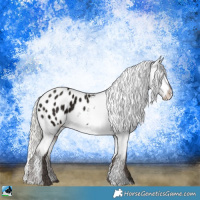 Horse Color:Liver Chestnut Ice Mushroom Appaloosa
