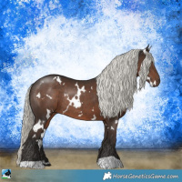 Horse Color:White Spotted Liver Chestnut Mushroom Rabicano 