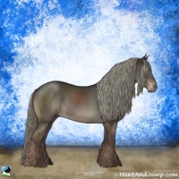 Horse Color:Liver Chestnut Mushroom Rabicano 
