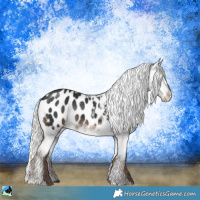 Horse Color:Liver Chestnut Mushroom Appaloosa 