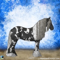 Horse Color:White Spotted Liver Chestnut Mushroom 
