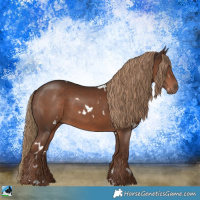 Horse Color:White Spotted Liver Chestnut Rabicano 