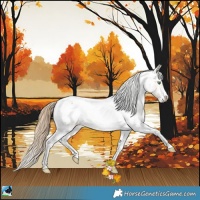 Horse Color:Amber Cream Champagne Sabino Tobiano Appaloosa  and Amber Cream Champagne Sabino Tobiano Appaloosa 