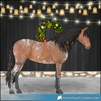 Horse Color:Bay Ice 