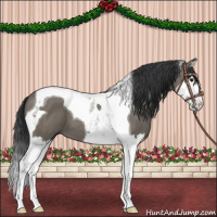 Horse Color:Grullo Splash Tobiano 