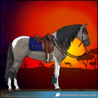 Horse Color:Grullo Tobiano 