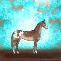 Horse Color:Liver Chestnut Sabino Blanket 
