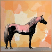 Horse Color:Void Watercolor White Spotted Chocolate Palomino Onyx Splash