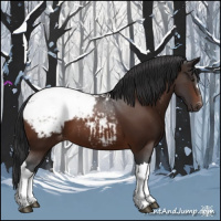Horse Color:Brown Appaloosa