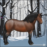 Horse Color:Brown Appaloosa 