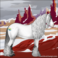 Horse Color:Black Sabino Appaloosa 