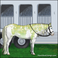 Horse Color:Watercolor Plaid  White Spotted Chocolate Palomino Dun Splash Brindle 