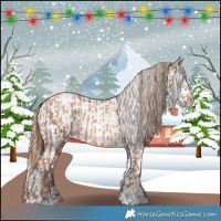 Horse Color:Liver Chestnut Pearl Rabicano and Gold Champagne Pearl Near Leopard Rabicano