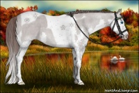 Horse Color:Platinum Liver Red Dun Roan Splash Tobiano 