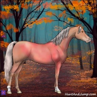 Horse Color:Silver Sable Champagne 