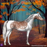 Horse Color:White Spotted Silver Bay Splash Frame Rabicano