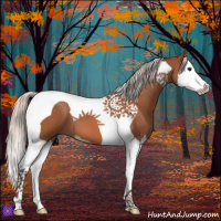 Horse Color:Silver Bay Sabino Splash Tobiano 