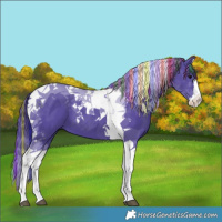 Horse Color:Painted Watercolor Black Splash Tobiano 