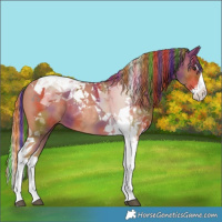 Horse Color:Painted Nacre Chestnut Splash Tobiano 