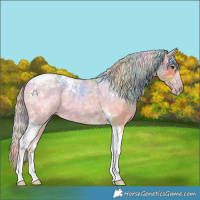 Horse Color:Nacre Palomino Ice Tobiano 