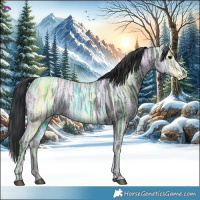 Horse Color:Black Ice
