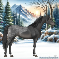Horse Color:Black Ice