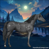 Horse Color:Black 