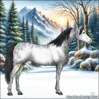 Horse Color:Black Ice Frame 