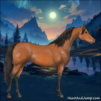 Horse Color:Bay Rabicano 