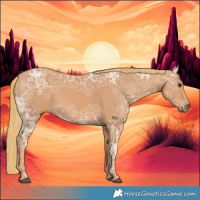 Horse Color:Chestnut Ice 