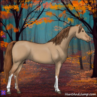 Horse Color:Red Dun 