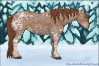 Horse Color:Chestnut Ice 