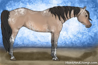 Horse Color:Bay Ice Dun 