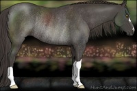 Horse Color:Smoky Black Rabicano 
