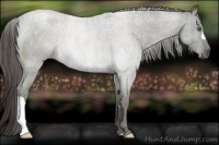 Horse Color:Smoky Blue Roan Rabicano 