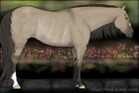 Horse Color:Smoky Grullo Rabicano 