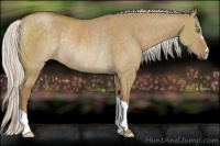 Horse Color:Silver Smoky Grullo Rabicano